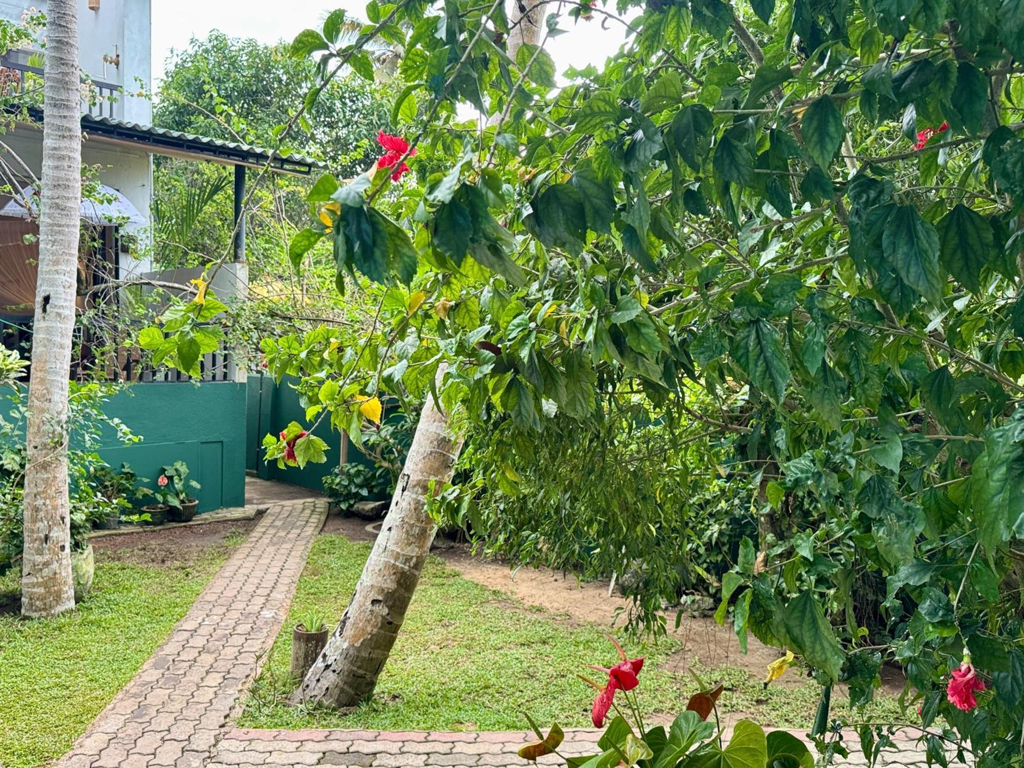 Swastha Ayurveda Villa Hikkaduwa Esterno foto